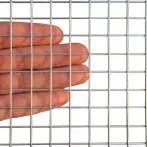 Galvanized Welded Wire Mesh