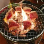 Galvanized BBQ Net