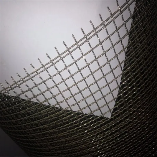 Galvanized Crimped Wire Mesh