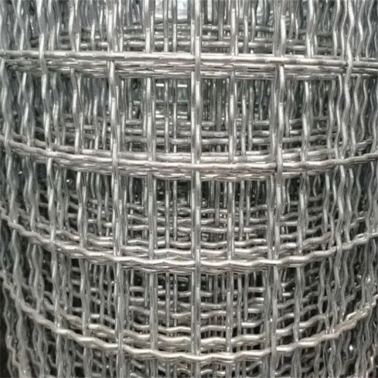 Galvanized Crimped Wire Mesh