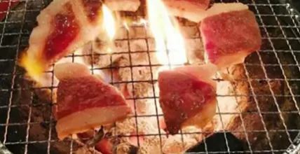 How to Use Your Disposable Barbecue Mesh Net Safely